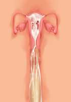 Owakare Video Letter ～ Onii-chan Yamete! Saiai no Kanojo ga Nikuzuma ni naru Shunkan ga Anime de Ugoku! ～ / お別れビデオレター～お義兄ちゃんやめて!最愛の彼女が肉嫁になる瞬間がアニメで動く!～ [Original] Thumbnail Page 58