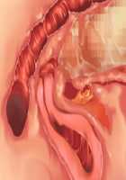 Owakare Video Letter ～ Onii-chan Yamete! Saiai no Kanojo ga Nikuzuma ni naru Shunkan ga Anime de Ugoku! ～ / お別れビデオレター～お義兄ちゃんやめて!最愛の彼女が肉嫁になる瞬間がアニメで動く!～ [Original] Thumbnail Page 59