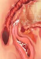 Owakare Video Letter ～ Onii-chan Yamete! Saiai no Kanojo ga Nikuzuma ni naru Shunkan ga Anime de Ugoku! ～ / お別れビデオレター～お義兄ちゃんやめて!最愛の彼女が肉嫁になる瞬間がアニメで動く!～ [Original] Thumbnail Page 60