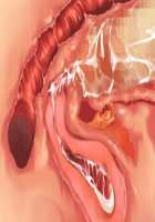 Owakare Video Letter ～ Onii-chan Yamete! Saiai no Kanojo ga Nikuzuma ni naru Shunkan ga Anime de Ugoku! ～ / お別れビデオレター～お義兄ちゃんやめて!最愛の彼女が肉嫁になる瞬間がアニメで動く!～ [Original] Thumbnail Page 62