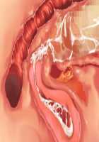 Owakare Video Letter ～ Onii-chan Yamete! Saiai no Kanojo ga Nikuzuma ni naru Shunkan ga Anime de Ugoku! ～ / お別れビデオレター～お義兄ちゃんやめて!最愛の彼女が肉嫁になる瞬間がアニメで動く!～ [Original] Thumbnail Page 63