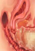 Owakare Video Letter ～ Onii-chan Yamete! Saiai no Kanojo ga Nikuzuma ni naru Shunkan ga Anime de Ugoku! ～ / お別れビデオレター～お義兄ちゃんやめて!最愛の彼女が肉嫁になる瞬間がアニメで動く!～ [Original] Thumbnail Page 64