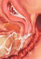 Owakare Video Letter ～ Onii-chan Yamete! Saiai no Kanojo ga Nikuzuma ni naru Shunkan ga Anime de Ugoku! ～ / お別れビデオレター～お義兄ちゃんやめて!最愛の彼女が肉嫁になる瞬間がアニメで動く!～ [Original] Thumbnail Page 73