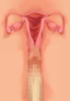 Owakare Video Letter ～ Onii-chan Yamete! Saiai no Kanojo ga Nikuzuma ni naru Shunkan ga Anime de Ugoku! ～ / お別れビデオレター～お義兄ちゃんやめて!最愛の彼女が肉嫁になる瞬間がアニメで動く!～ [Original] Thumbnail Page 74