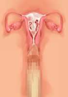 Owakare Video Letter ～ Onii-chan Yamete! Saiai no Kanojo ga Nikuzuma ni naru Shunkan ga Anime de Ugoku! ～ / お別れビデオレター～お義兄ちゃんやめて!最愛の彼女が肉嫁になる瞬間がアニメで動く!～ [Original] Thumbnail Page 75