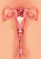 Owakare Video Letter ～ Onii-chan Yamete! Saiai no Kanojo ga Nikuzuma ni naru Shunkan ga Anime de Ugoku! ～ / お別れビデオレター～お義兄ちゃんやめて!最愛の彼女が肉嫁になる瞬間がアニメで動く!～ [Original] Thumbnail Page 76