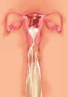 Owakare Video Letter ～ Onii-chan Yamete! Saiai no Kanojo ga Nikuzuma ni naru Shunkan ga Anime de Ugoku! ～ / お別れビデオレター～お義兄ちゃんやめて!最愛の彼女が肉嫁になる瞬間がアニメで動く!～ [Original] Thumbnail Page 77