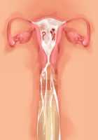 Owakare Video Letter ～ Onii-chan Yamete! Saiai no Kanojo ga Nikuzuma ni naru Shunkan ga Anime de Ugoku! ～ / お別れビデオレター～お義兄ちゃんやめて!最愛の彼女が肉嫁になる瞬間がアニメで動く!～ [Original] Thumbnail Page 78