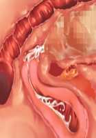 Owakare Video Letter ～ Onii-chan Yamete! Saiai no Kanojo ga Nikuzuma ni naru Shunkan ga Anime de Ugoku! ～ / お別れビデオレター～お義兄ちゃんやめて!最愛の彼女が肉嫁になる瞬間がアニメで動く!～ [Original] Thumbnail Page 80