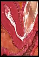 Welcome to Pussy Paradise / 孕ませの国♪種付けパークへようこそ！ [Sakurai Mairi] [Original] Thumbnail Page 113