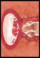 Welcome to Pussy Paradise / 孕ませの国♪種付けパークへようこそ！ [Sakurai Mairi] [Original] Thumbnail Page 122