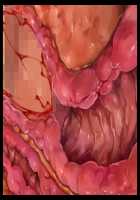 Welcome to Pussy Paradise / 孕ませの国♪種付けパークへようこそ！ [Sakurai Mairi] [Original] Thumbnail Page 137