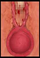 Welcome to Pussy Paradise / 孕ませの国♪種付けパークへようこそ！ [Sakurai Mairi] [Original] Thumbnail Page 149