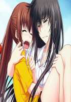 Maji de Watashi ni Koishinasai!! / 真剣で私に恋しなさい！！ [Kawagishi Keitarou] [Maji De Watashi Ni Koi Shinasai] Thumbnail Page 200