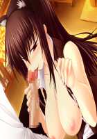 Maji de Watashi ni Koishinasai!! / 真剣で私に恋しなさい！！ [Kawagishi Keitarou] [Maji De Watashi Ni Koi Shinasai] Thumbnail Page 98