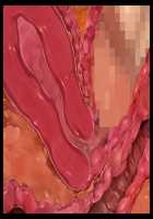 Mashouki Tiruana Haramase Saimin ~Ningen o Shiitageru Mazoku no Hime ga Anji Hitotsu de Nikugangu ni Naru~ / 魔将姫ティルアーナ孕ませ催眠 ～人間を虐げる魔族の姫が暗示一つで肉玩具になる～ [Saxasa] [Original] Thumbnail Page 140