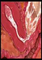 Mashouki Tiruana Haramase Saimin ~Ningen o Shiitageru Mazoku no Hime ga Anji Hitotsu de Nikugangu ni Naru~ / 魔将姫ティルアーナ孕ませ催眠 ～人間を虐げる魔族の姫が暗示一つで肉玩具になる～ [Saxasa] [Original] Thumbnail Page 142