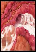 Mashouki Tiruana Haramase Saimin ~Ningen o Shiitageru Mazoku no Hime ga Anji Hitotsu de Nikugangu ni Naru~ / 魔将姫ティルアーナ孕ませ催眠 ～人間を虐げる魔族の姫が暗示一つで肉玩具になる～ [Saxasa] [Original] Thumbnail Page 146