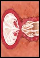 Mashouki Tiruana Haramase Saimin ~Ningen o Shiitageru Mazoku no Hime ga Anji Hitotsu de Nikugangu ni Naru~ / 魔将姫ティルアーナ孕ませ催眠 ～人間を虐げる魔族の姫が暗示一つで肉玩具になる～ [Saxasa] [Original] Thumbnail Page 151