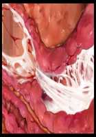 Mashouki Tiruana Haramase Saimin ~Ningen o Shiitageru Mazoku no Hime ga Anji Hitotsu de Nikugangu ni Naru~ / 魔将姫ティルアーナ孕ませ催眠 ～人間を虐げる魔族の姫が暗示一つで肉玩具になる～ [Saxasa] [Original] Thumbnail Page 166