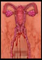 Mashouki Tiruana Haramase Saimin ~Ningen o Shiitageru Mazoku no Hime ga Anji Hitotsu de Nikugangu ni Naru~ / 魔将姫ティルアーナ孕ませ催眠 ～人間を虐げる魔族の姫が暗示一つで肉玩具になる～ [Saxasa] [Original] Thumbnail Page 169