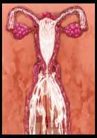 Mashouki Tiruana Haramase Saimin ~Ningen o Shiitageru Mazoku no Hime ga Anji Hitotsu de Nikugangu ni Naru~ / 魔将姫ティルアーナ孕ませ催眠 ～人間を虐げる魔族の姫が暗示一つで肉玩具になる～ [Saxasa] [Original] Thumbnail Page 172