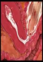 Mashouki Tiruana Haramase Saimin ~Ningen o Shiitageru Mazoku no Hime ga Anji Hitotsu de Nikugangu ni Naru~ / 魔将姫ティルアーナ孕ませ催眠 ～人間を虐げる魔族の姫が暗示一つで肉玩具になる～ [Saxasa] [Original] Thumbnail Page 186