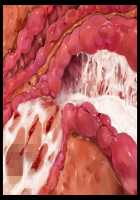 Mashouki Tiruana Haramase Saimin ~Ningen o Shiitageru Mazoku no Hime ga Anji Hitotsu de Nikugangu ni Naru~ / 魔将姫ティルアーナ孕ませ催眠 ～人間を虐げる魔族の姫が暗示一つで肉玩具になる～ [Saxasa] [Original] Thumbnail Page 191