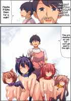 New Female Cats in Stock Today / 本日、女子猫入荷しました! [Vanilla CREAM] [Original] Thumbnail Page 18