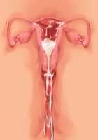 Ore ga ♀ de Kanojo ga ♂ ni!? Kiyowa Bishounen to Kanpeki Bishoujo ga Change! ~Dasanaide! Jibun no Karada de Ninshin Saserarete Icchau!~ / 俺が♀で彼女が♂に!? 気弱美少年と完璧美少女がChange！ ～出さないで！自分のカラダで妊娠させられてイっちゃう！～ [Ayase Hazuki] [Original] Thumbnail Page 105