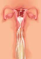 Ore ga ♀ de Kanojo ga ♂ ni!? Kiyowa Bishounen to Kanpeki Bishoujo ga Change! ~Dasanaide! Jibun no Karada de Ninshin Saserarete Icchau!~ / 俺が♀で彼女が♂に!? 気弱美少年と完璧美少女がChange！ ～出さないで！自分のカラダで妊娠させられてイっちゃう！～ [Ayase Hazuki] [Original] Thumbnail Page 106