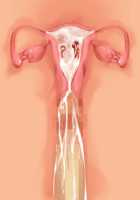 Ore ga ♀ de Kanojo ga ♂ ni!? Kiyowa Bishounen to Kanpeki Bishoujo ga Change! ~Dasanaide! Jibun no Karada de Ninshin Saserarete Icchau!~ / 俺が♀で彼女が♂に!? 気弱美少年と完璧美少女がChange！ ～出さないで！自分のカラダで妊娠させられてイっちゃう！～ [Ayase Hazuki] [Original] Thumbnail Page 107