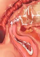 Ore ga ♀ de Kanojo ga ♂ ni!? Kiyowa Bishounen to Kanpeki Bishoujo ga Change! ~Dasanaide! Jibun no Karada de Ninshin Saserarete Icchau!~ / 俺が♀で彼女が♂に!? 気弱美少年と完璧美少女がChange！ ～出さないで！自分のカラダで妊娠させられてイっちゃう！～ [Ayase Hazuki] [Original] Thumbnail Page 111