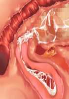 Ore ga ♀ de Kanojo ga ♂ ni!? Kiyowa Bishounen to Kanpeki Bishoujo ga Change! ~Dasanaide! Jibun no Karada de Ninshin Saserarete Icchau!~ / 俺が♀で彼女が♂に!? 気弱美少年と完璧美少女がChange！ ～出さないで！自分のカラダで妊娠させられてイっちゃう！～ [Ayase Hazuki] [Original] Thumbnail Page 112