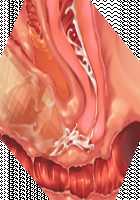 Ore ga ♀ de Kanojo ga ♂ ni!? Kiyowa Bishounen to Kanpeki Bishoujo ga Change! ~Dasanaide! Jibun no Karada de Ninshin Saserarete Icchau!~ / 俺が♀で彼女が♂に!? 気弱美少年と完璧美少女がChange！ ～出さないで！自分のカラダで妊娠させられてイっちゃう！～ [Ayase Hazuki] [Original] Thumbnail Page 123