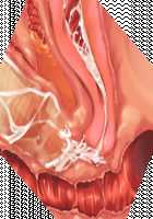 Ore ga ♀ de Kanojo ga ♂ ni!? Kiyowa Bishounen to Kanpeki Bishoujo ga Change! ~Dasanaide! Jibun no Karada de Ninshin Saserarete Icchau!~ / 俺が♀で彼女が♂に!? 気弱美少年と完璧美少女がChange！ ～出さないで！自分のカラダで妊娠させられてイっちゃう！～ [Ayase Hazuki] [Original] Thumbnail Page 124