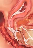 Ore ga ♀ de Kanojo ga ♂ ni!? Kiyowa Bishounen to Kanpeki Bishoujo ga Change! ~Dasanaide! Jibun no Karada de Ninshin Saserarete Icchau!~ / 俺が♀で彼女が♂に!? 気弱美少年と完璧美少女がChange！ ～出さないで！自分のカラダで妊娠させられてイっちゃう！～ [Ayase Hazuki] [Original] Thumbnail Page 129