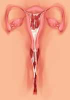 Ore ga ♀ de Kanojo ga ♂ ni!? Kiyowa Bishounen to Kanpeki Bishoujo ga Change! ~Dasanaide! Jibun no Karada de Ninshin Saserarete Icchau!~ / 俺が♀で彼女が♂に!? 気弱美少年と完璧美少女がChange！ ～出さないで！自分のカラダで妊娠させられてイっちゃう！～ [Ayase Hazuki] [Original] Thumbnail Page 143