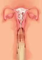 Ore ga ♀ de Kanojo ga ♂ ni!? Kiyowa Bishounen to Kanpeki Bishoujo ga Change! ~Dasanaide! Jibun no Karada de Ninshin Saserarete Icchau!~ / 俺が♀で彼女が♂に!? 気弱美少年と完璧美少女がChange！ ～出さないで！自分のカラダで妊娠させられてイっちゃう！～ [Ayase Hazuki] [Original] Thumbnail Page 147