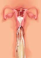 Ore ga ♀ de Kanojo ga ♂ ni!? Kiyowa Bishounen to Kanpeki Bishoujo ga Change! ~Dasanaide! Jibun no Karada de Ninshin Saserarete Icchau!~ / 俺が♀で彼女が♂に!? 気弱美少年と完璧美少女がChange！ ～出さないで！自分のカラダで妊娠させられてイっちゃう！～ [Ayase Hazuki] [Original] Thumbnail Page 149