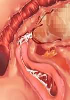 Ore ga ♀ de Kanojo ga ♂ ni!? Kiyowa Bishounen to Kanpeki Bishoujo ga Change! ~Dasanaide! Jibun no Karada de Ninshin Saserarete Icchau!~ / 俺が♀で彼女が♂に!? 気弱美少年と完璧美少女がChange！ ～出さないで！自分のカラダで妊娠させられてイっちゃう！～ [Ayase Hazuki] [Original] Thumbnail Page 152