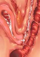 Ore ga ♀ de Kanojo ga ♂ ni!? Kiyowa Bishounen to Kanpeki Bishoujo ga Change! ~Dasanaide! Jibun no Karada de Ninshin Saserarete Icchau!~ / 俺が♀で彼女が♂に!? 気弱美少年と完璧美少女がChange！ ～出さないで！自分のカラダで妊娠させられてイっちゃう！～ [Ayase Hazuki] [Original] Thumbnail Page 168