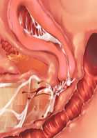 Ore ga ♀ de Kanojo ga ♂ ni!? Kiyowa Bishounen to Kanpeki Bishoujo ga Change! ~Dasanaide! Jibun no Karada de Ninshin Saserarete Icchau!~ / 俺が♀で彼女が♂に!? 気弱美少年と完璧美少女がChange！ ～出さないで！自分のカラダで妊娠させられてイっちゃう！～ [Ayase Hazuki] [Original] Thumbnail Page 174