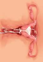 Ore ga ♀ de Kanojo ga ♂ ni!? Kiyowa Bishounen to Kanpeki Bishoujo ga Change! ~Dasanaide! Jibun no Karada de Ninshin Saserarete Icchau!~ / 俺が♀で彼女が♂に!? 気弱美少年と完璧美少女がChange！ ～出さないで！自分のカラダで妊娠させられてイっちゃう！～ [Ayase Hazuki] [Original] Thumbnail Page 178