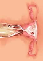 Ore ga ♀ de Kanojo ga ♂ ni!? Kiyowa Bishounen to Kanpeki Bishoujo ga Change! ~Dasanaide! Jibun no Karada de Ninshin Saserarete Icchau!~ / 俺が♀で彼女が♂に!? 気弱美少年と完璧美少女がChange！ ～出さないで！自分のカラダで妊娠させられてイっちゃう！～ [Ayase Hazuki] [Original] Thumbnail Page 180