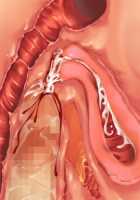 Ore ga ♀ de Kanojo ga ♂ ni!? Kiyowa Bishounen to Kanpeki Bishoujo ga Change! ~Dasanaide! Jibun no Karada de Ninshin Saserarete Icchau!~ / 俺が♀で彼女が♂に!? 気弱美少年と完璧美少女がChange！ ～出さないで！自分のカラダで妊娠させられてイっちゃう！～ [Ayase Hazuki] [Original] Thumbnail Page 181