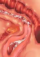 Ore ga ♀ de Kanojo ga ♂ ni!? Kiyowa Bishounen to Kanpeki Bishoujo ga Change! ~Dasanaide! Jibun no Karada de Ninshin Saserarete Icchau!~ / 俺が♀で彼女が♂に!? 気弱美少年と完璧美少女がChange！ ～出さないで！自分のカラダで妊娠させられてイっちゃう！～ [Ayase Hazuki] [Original] Thumbnail Page 185