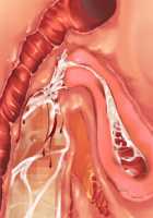 Ore ga ♀ de Kanojo ga ♂ ni!? Kiyowa Bishounen to Kanpeki Bishoujo ga Change! ~Dasanaide! Jibun no Karada de Ninshin Saserarete Icchau!~ / 俺が♀で彼女が♂に!? 気弱美少年と完璧美少女がChange！ ～出さないで！自分のカラダで妊娠させられてイっちゃう！～ [Ayase Hazuki] [Original] Thumbnail Page 187