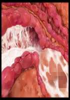 Iyasou na Kao Shite Kozukuri Sasete Kureru Toshiue Cool Maid o Aherasete Mesuana ni Suru Hanashi / 嫌そうな顔して子作りさせてくれる年上クールメイドをアヘらせてメス穴にする話 [T-28] [Original] Thumbnail Page 289