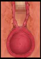 Iyasou na Kao Shite Kozukuri Sasete Kureru Toshiue Cool Maid o Aherasete Mesuana ni Suru Hanashi / 嫌そうな顔して子作りさせてくれる年上クールメイドをアヘらせてメス穴にする話 [T-28] [Original] Thumbnail Page 291